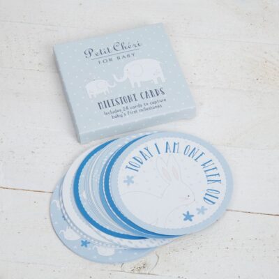 Baby Boy Blue Milestone Cards