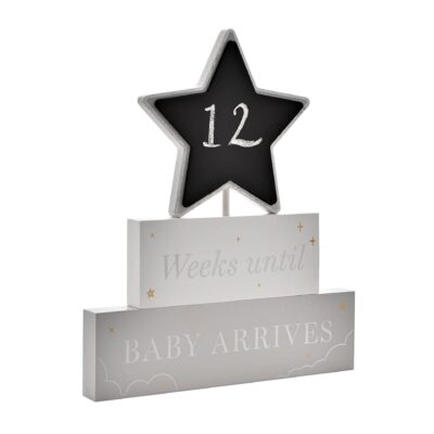 Baby Weekly Countdown Wooden Plaque