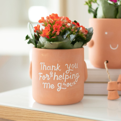 Thank You Teacher Terracotta Plant Pot