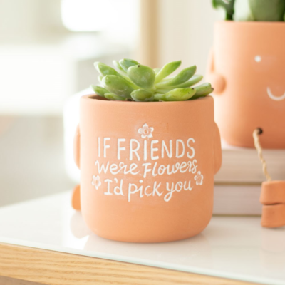 If Friends Were Flowers Terracotta Plant Pot