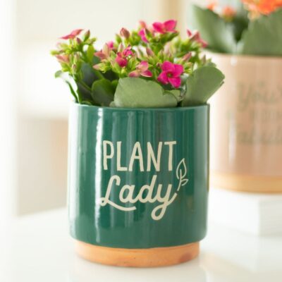 Plant Lady Plant Pot
