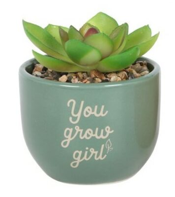 You Grow Girl Faux Succulent Plant Pot