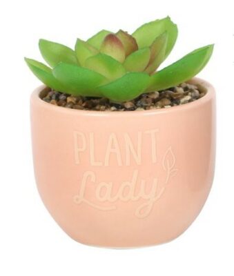 Plant Lady Faux Succulent Plant Pot