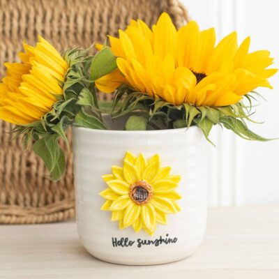 Hello Sunshine Sunflower Plant Pot