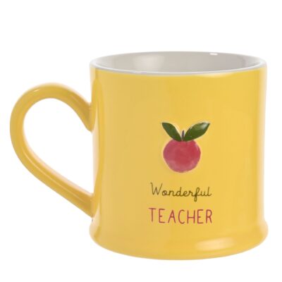 Wonderful Teacher Mug