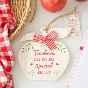 Teachers Like You Apple Decoration