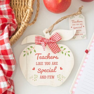 Teachers Like You Apple Decoration