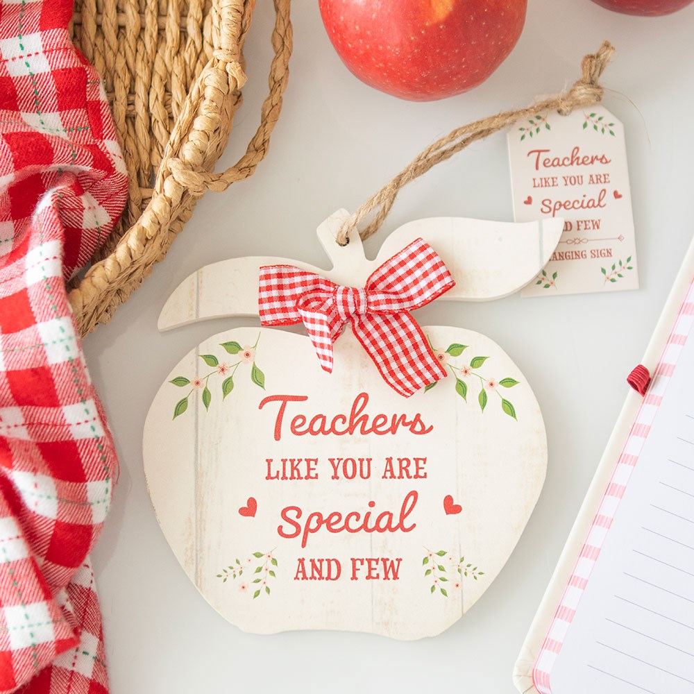Teachers Like You Apple Decoration