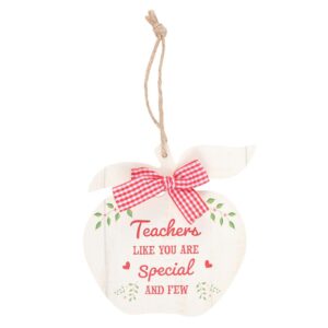 Teachers Like You Apple Decoration
