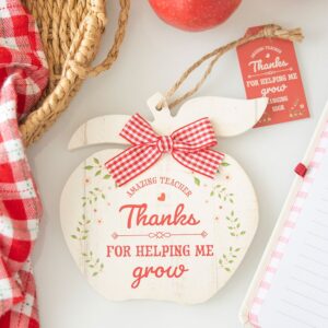 Thanks for Helping Me Grow Apple Decoration