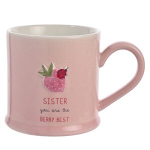 Very Best Sister Mug