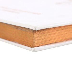 Daily Reflection Journal with Quartz Pen