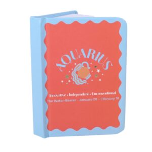Aquarius Zodiac Mini Notebook
